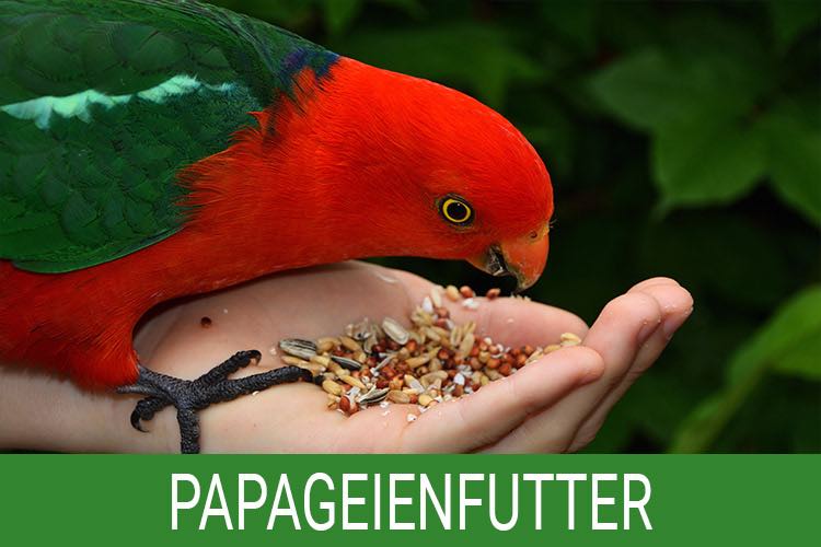 Papageifutter
